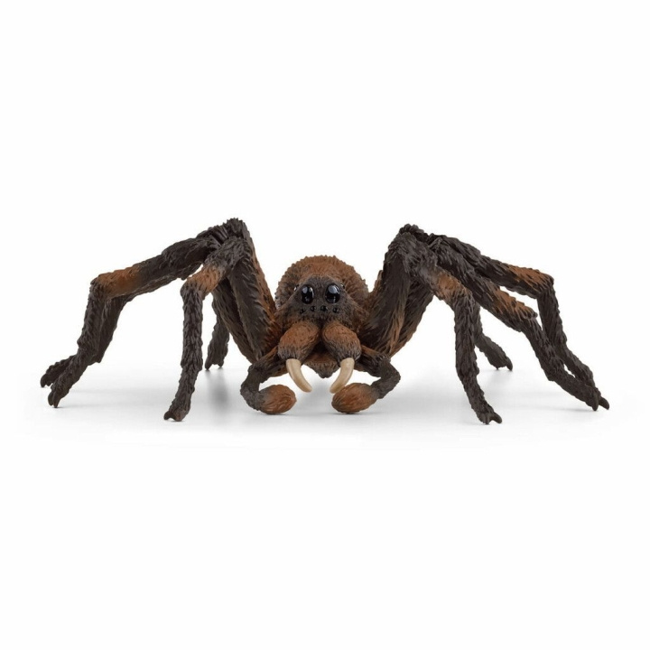 Schleich Harry Potter - Aragog (13987) in de groep SPEELGOED, KINDER- & BABYPRODUCTEN / Speelgoed / Figuren, Miniaturen & accessoires bij TP E-commerce Nordic AB (C87595)