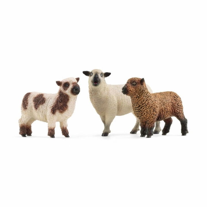 Schleich Farm World - Schapenvrienden (42660) in de groep SPEELGOED, KINDER- & BABYPRODUCTEN / Speelgoed / Figuren, Miniaturen & accessoires bij TP E-commerce Nordic AB (C87712)