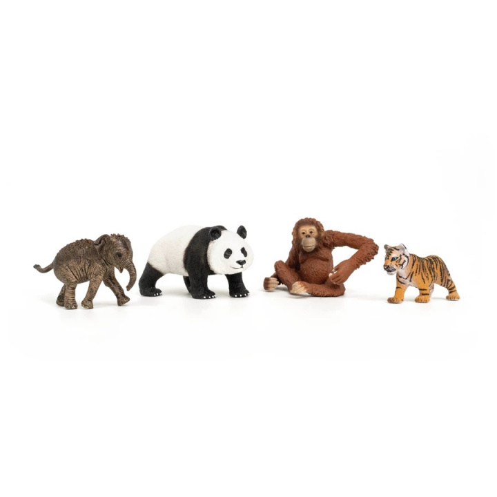 Schleich Wild Life - Azië Startset (42736) in de groep SPEELGOED, KINDER- & BABYPRODUCTEN / Speelgoed / Speelset bij TP E-commerce Nordic AB (C87908)