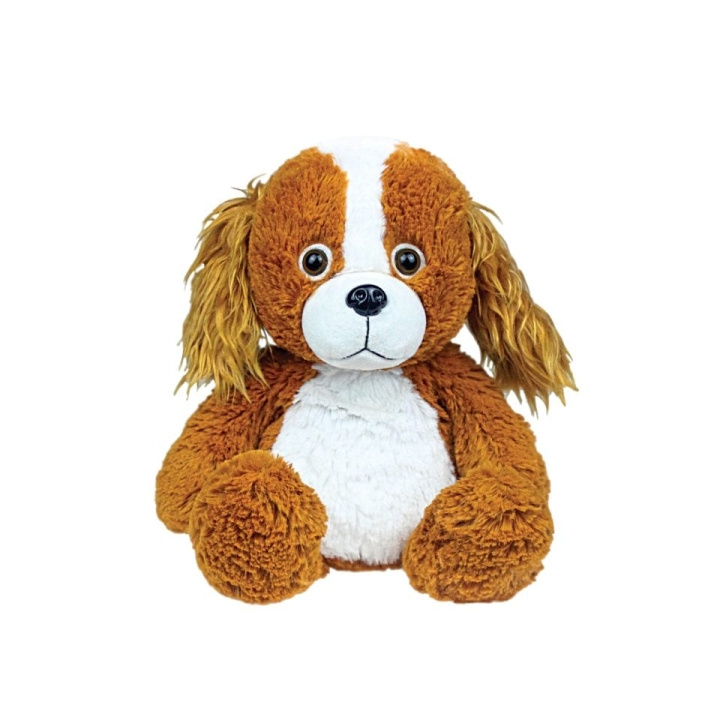 Cozy Time Voor de magnetron - Springer Spaniel (3146806) in de groep SPEELGOED, KINDER- & BABYPRODUCTEN / Babyspeelgoed / Knuffels bij TP E-commerce Nordic AB (C88698)