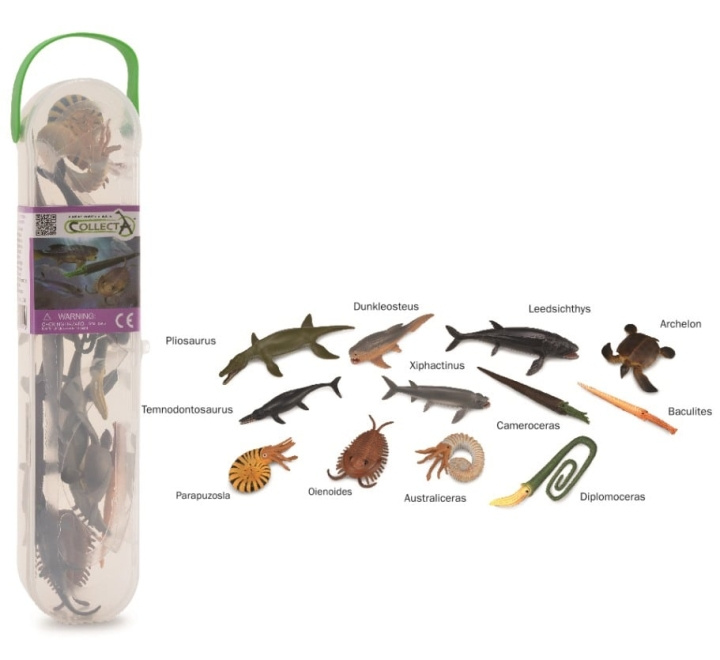 CollectA Mini Prehistorische Zeedieren Giftset (COL01104) in de groep SPEELGOED, KINDER- & BABYPRODUCTEN / Speelgoed / Figuren, Miniaturen & accessoires bij TP E-commerce Nordic AB (C88755)