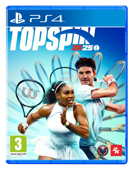 2K Games TopSpin 2K25 in de groep HOME ELECTRONICS / Spelconsoles en accessoires / Sony PlayStation 4 / Spel bij TP E-commerce Nordic AB (C88789)