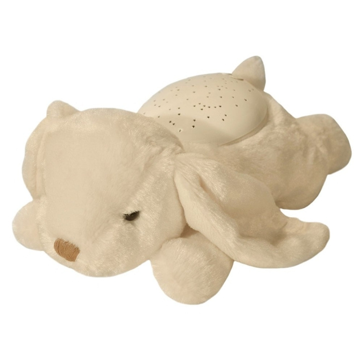 Cloud b Schemer Buddies, Bunny (CB7473-BB) in de groep SPEELGOED, KINDER- & BABYPRODUCTEN / Babyspeelgoed / Knuffels bij TP E-commerce Nordic AB (C88950)