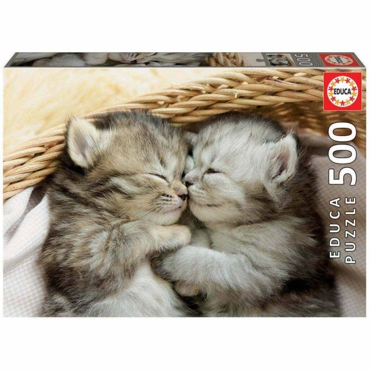 Educa 500 st - Puzzel Sweet Cats (80-19004) in de groep SPEELGOED, KINDER- & BABYPRODUCTEN / Speelgoed / Kinderpuzzel bij TP E-commerce Nordic AB (C89909)