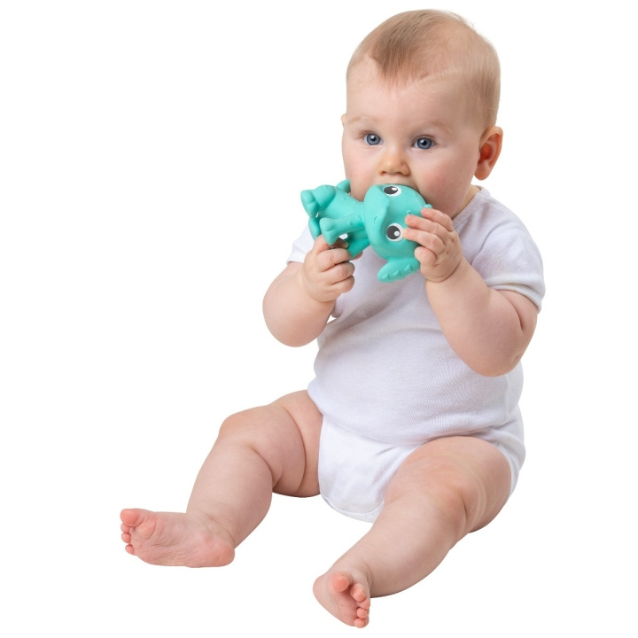 Playgro Eco Play Rubber Pooky Puppy - Turquoise (10188823) in de groep SPEELGOED, KINDER- & BABYPRODUCTEN / Babyspeelgoed / Activiteitenspeelgoed bij TP E-commerce Nordic AB (C90970)