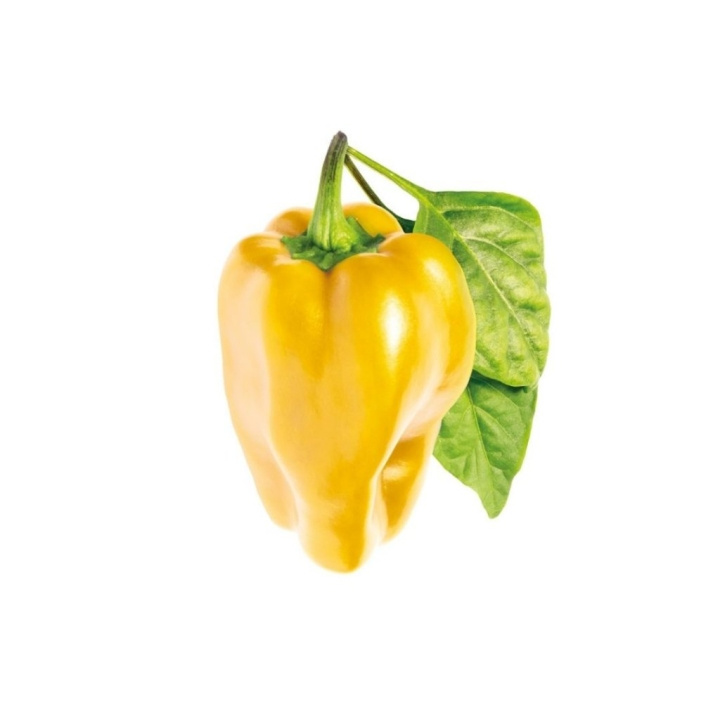 Click & Grow - Slimme tuin navulling 3-pack - Gele paprika (SGR53X3) in de groep SPORT, VRIJE TIJD & HOBBY / Leuke dingen / Handige spullen bij TP E-commerce Nordic AB (C93769)