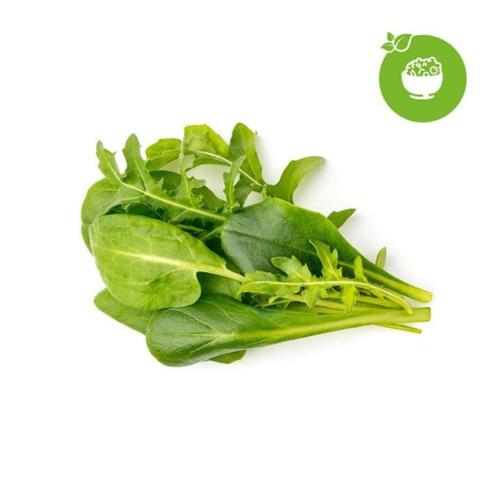 Click & Grow - Smart Garden navulling 9-pack groene salademix in de groep SPORT, VRIJE TIJD & HOBBY / Leuke dingen / Handige spullen bij TP E-commerce Nordic AB (C94081)