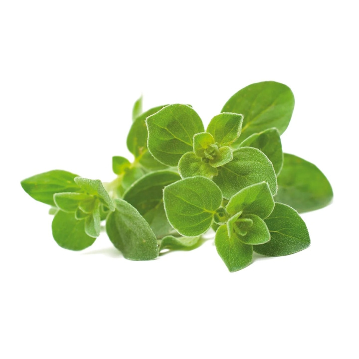 Click & Grow - Slimme tuin navulling 3-pak Oregano in de groep SPORT, VRIJE TIJD & HOBBY / Leuke dingen / Handige spullen bij TP E-commerce Nordic AB (C94572)