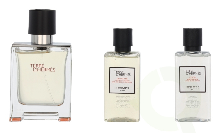 Hermes Terre D\'Hermes Giftset 130 ml Edt Spray 50ml/Shower Gel 40ml/Body Lotion 40ml in de groep BEAUTY & HEALTH / Cadeausets / Cadeausets voor hem bij TP E-commerce Nordic AB (C95005)