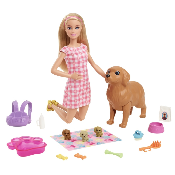 Barbie Pop en pasgeboren puppy\'s speelset (HCK75) in de groep SPEELGOED, KINDER- & BABYPRODUCTEN / Speelgoed / Docks & Accessoires bij TP E-commerce Nordic AB (C97101)