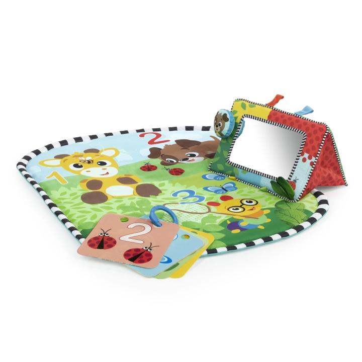 Baby Einstein Discovery Garden™ Buikspreekmat & Spiegel - (BE-16788) in de groep SPEELGOED, KINDER- & BABYPRODUCTEN / Babyspeelgoed / Activiteitenspeelgoed bij TP E-commerce Nordic AB (C97489)