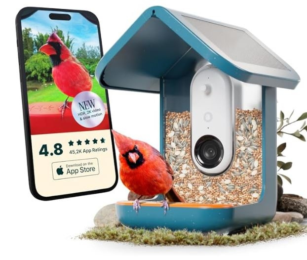 Birdbuddy Slimme vogelvoederautomaat 2.0 Blauw met zonnepaneel in de groep SPORT, VRIJE TIJD & HOBBY / Leuke dingen / Handige spullen bij TP E-commerce Nordic AB (C98104)