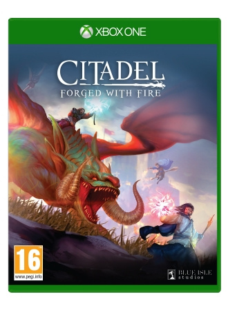 Virtual Basement Citadel: gesmeed met vuur in de groep HOME ELECTRONICS / Spelconsoles en accessoires / Xbox One / Spel bij TP E-commerce Nordic AB (C98355)