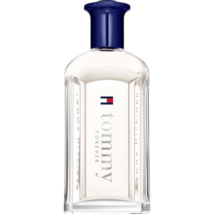 Tommy Hilfiger Tommy Forever EdT - 100 ml in de groep BEAUTY & HEALTH / Geuren & Parfum / Parfum / Parfum voor hem bij TP E-commerce Nordic AB (D01858)