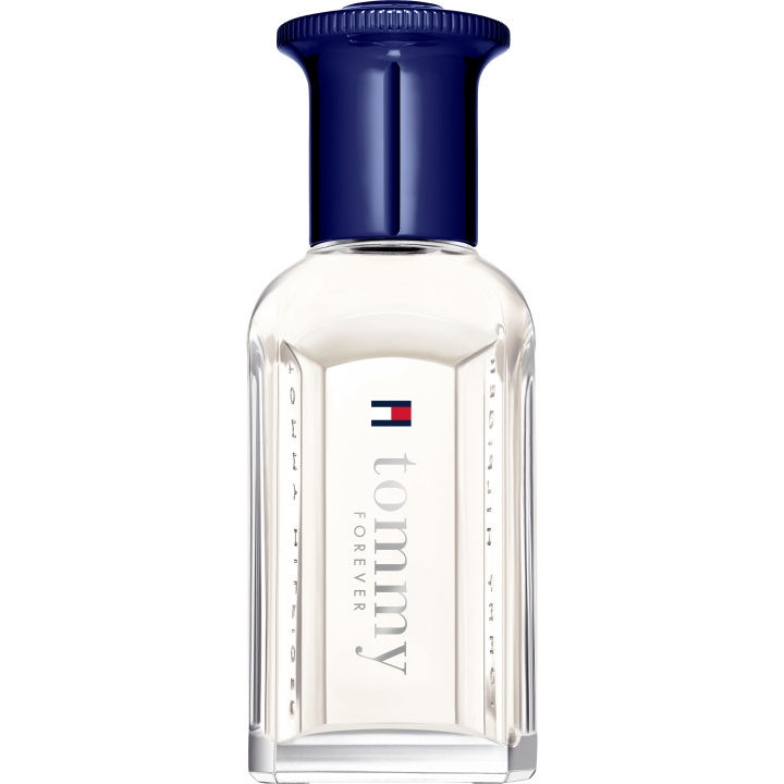 Tommy Hilfiger Tommy Forever EdT - 30 ml in de groep BEAUTY & HEALTH / Geuren & Parfum / Parfum / Parfum voor hem bij TP E-commerce Nordic AB (D01860)