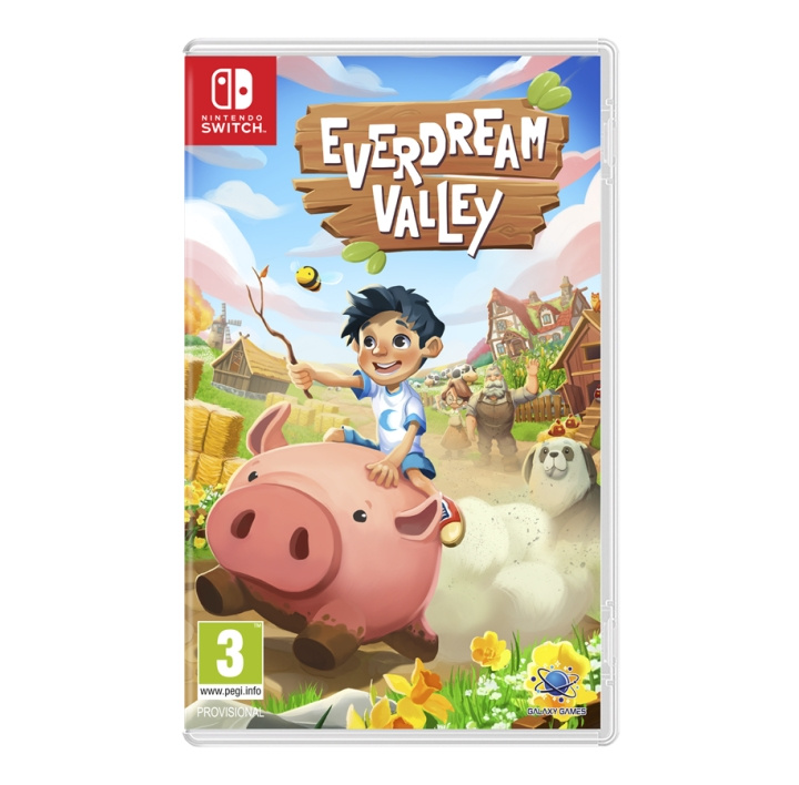 Everdream Valley (Switch) in de groep HOME ELECTRONICS / Spelconsoles en accessoires / Nintendo Switch / Games bij TP E-commerce Nordic AB (D02802)