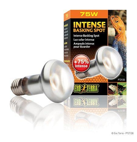 Exoterra Intense Zonsspot 75W S20 E27 Oranje - (220.2475) in de groep HUISHOUDEN & TUIN / Huisdieraccessoires / Accessoires voor terraria bij TP E-commerce Nordic AB (D03858)