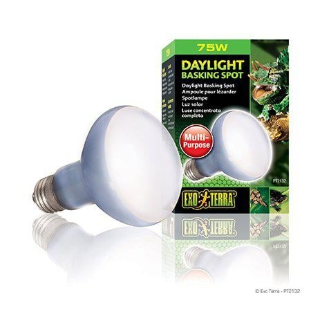 Exoterra Daglicht Spot 75W R20 E27 Groen - (220.2720) in de groep HUISHOUDEN & TUIN / Huisdieraccessoires / Accessoires voor terraria bij TP E-commerce Nordic AB (D03859)