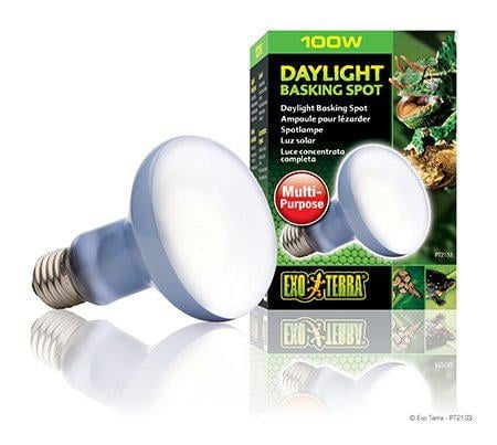 Exoterra Daglicht Spot 100W R25 E27 Groen - (220.2730) in de groep HUISHOUDEN & TUIN / Huisdieraccessoires / Accessoires voor terraria bij TP E-commerce Nordic AB (D03860)