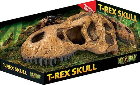 Exoterra Grot T Rex Schedel - (222.2059) in de groep HUISHOUDEN & TUIN / Huisdieraccessoires / Accessoires voor terraria bij TP E-commerce Nordic AB (D03864)