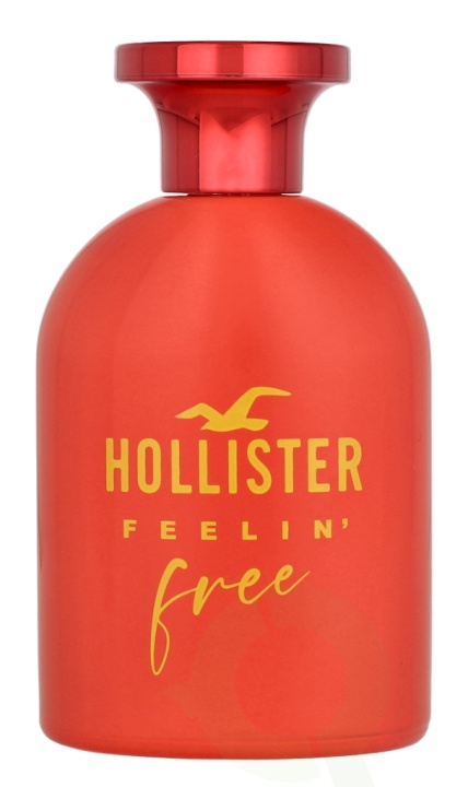 Hollister Feelin\' Free For Her Edp Spray 100 ml in de groep BEAUTY & HEALTH / Geuren & Parfum / Parfum / Parfum voor haar bij TP E-commerce Nordic AB (D09453)