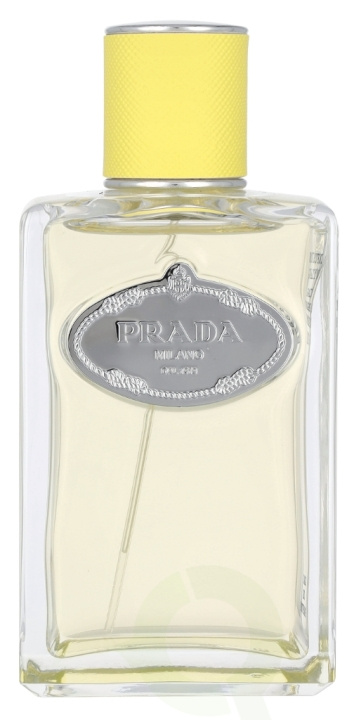 Prada Infusion D\'Ylang Edp Spray 100 ml in de groep BEAUTY & HEALTH / Geuren & Parfum / Parfum / Parfum voor haar bij TP E-commerce Nordic AB (D09488)