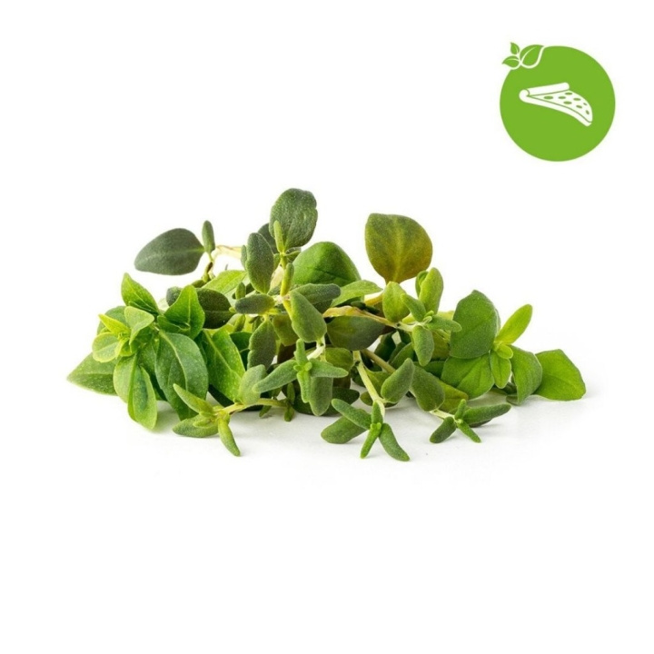 Click & Grow Smart Garden navulling 9-pack Italiaanse kruidenmix in de groep SPORT, VRIJE TIJD & HOBBY / Leuke dingen / Handige spullen bij TP E-commerce Nordic AB (D11218)