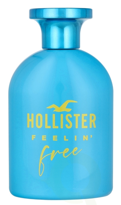 Hollister Feelin\' Free For Him Edt Spray 100 ml in de groep BEAUTY & HEALTH / Geuren & Parfum / Parfum / Parfum voor hem bij TP E-commerce Nordic AB (D11684)