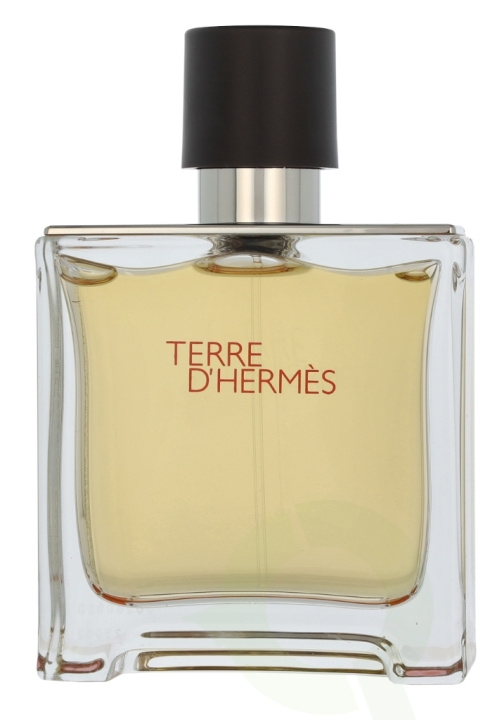 Hermes Terre D\'Hermes Edp Spray 75 ml in de groep BEAUTY & HEALTH / Geuren & Parfum / Parfum / Parfum voor hem bij TP E-commerce Nordic AB (D11740)