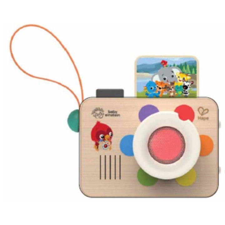 Hape Kleurencamera (87-800920) in de groep SPEELGOED, KINDER- & BABYPRODUCTEN / Speelgoed / Speelgoed bij TP E-commerce Nordic AB (D13852)