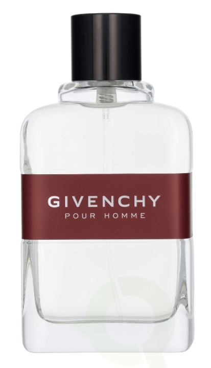 Givenchy Pour Homme Edt Spray 100 ml in de groep BEAUTY & HEALTH / Geuren & Parfum / Parfum / Parfum voor hem bij TP E-commerce Nordic AB (D14500)